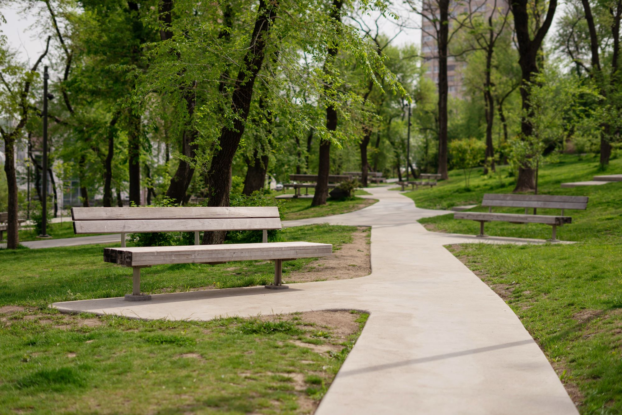 Trail and Park Scene